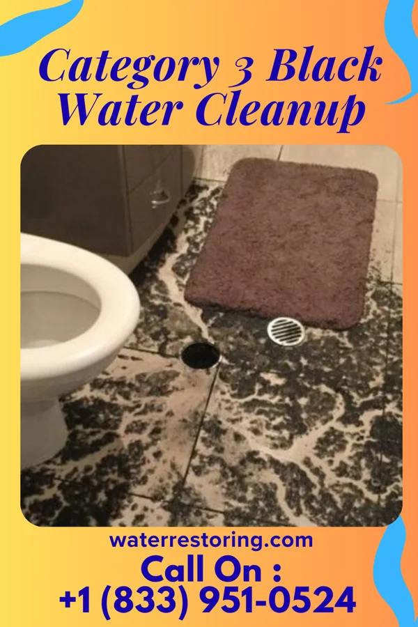 Category 3 Black Water Cleanup in Fairdale, PA