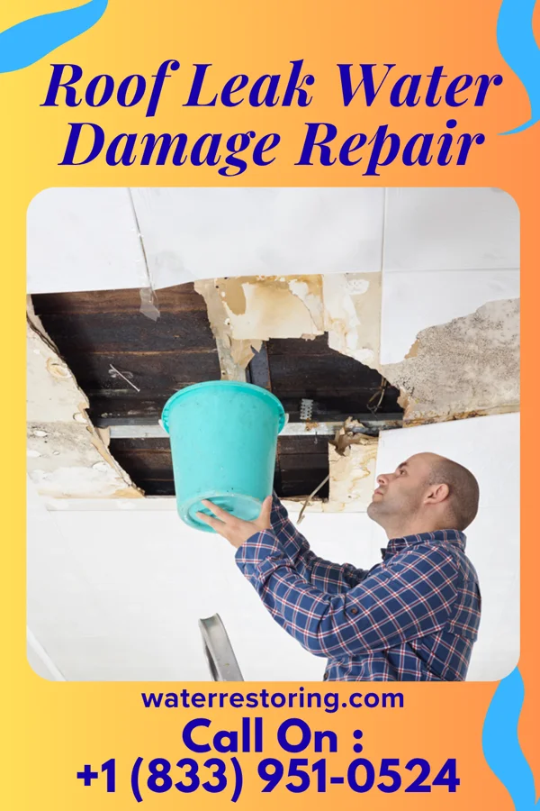 Roof Leak Water Damage Repair in Fairdale, PA