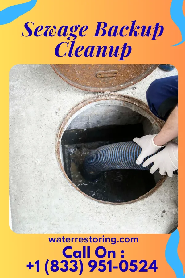 Sewage Backup Cleanup in Fairdale, PA
