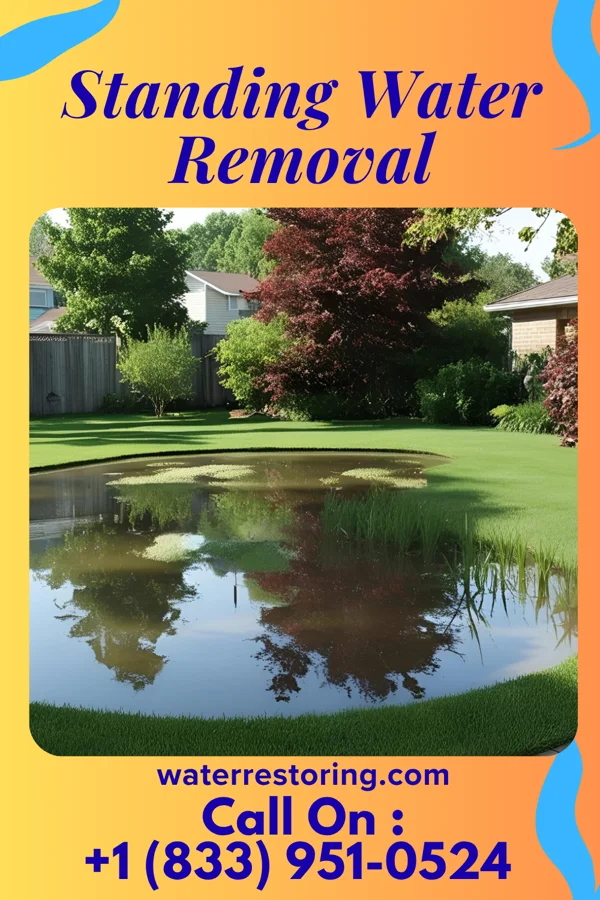 Standing Water Removal in Fairdale, PA